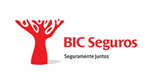 BIC